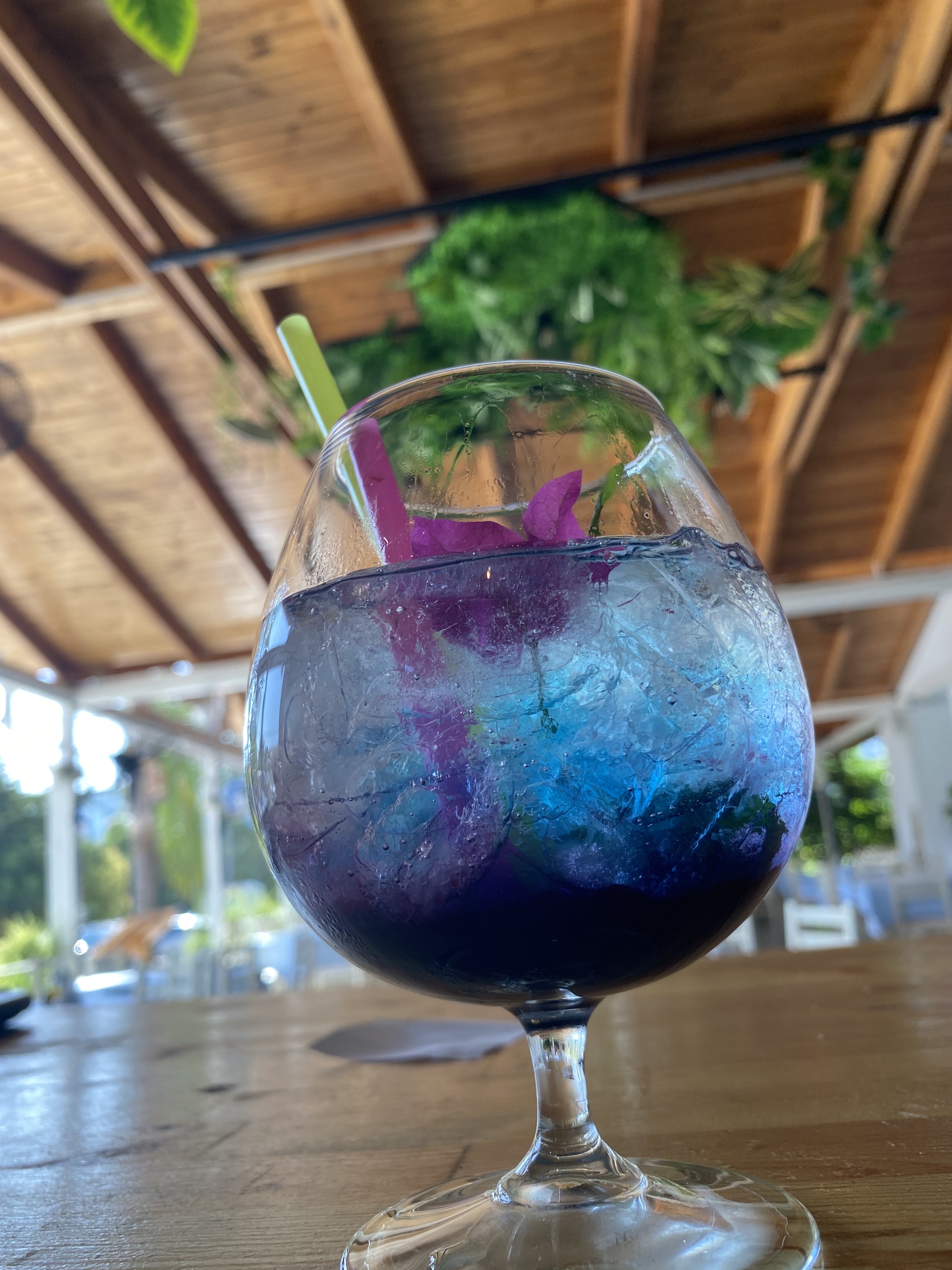 A dish served at Ujvara Restaurant